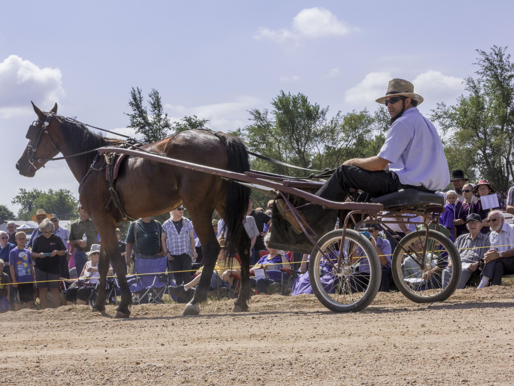 Visit Hutch Shopping